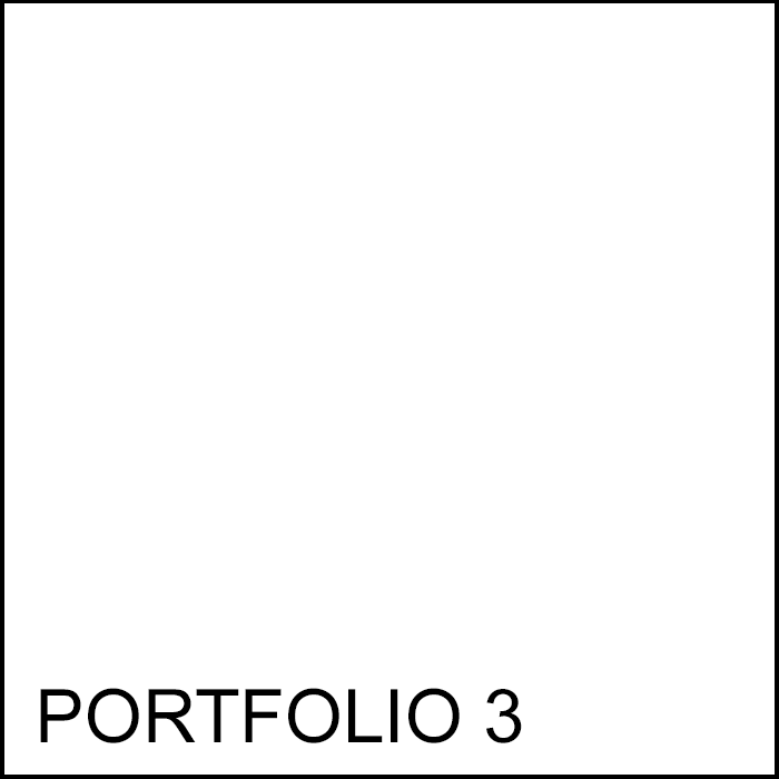 Portfolio 3