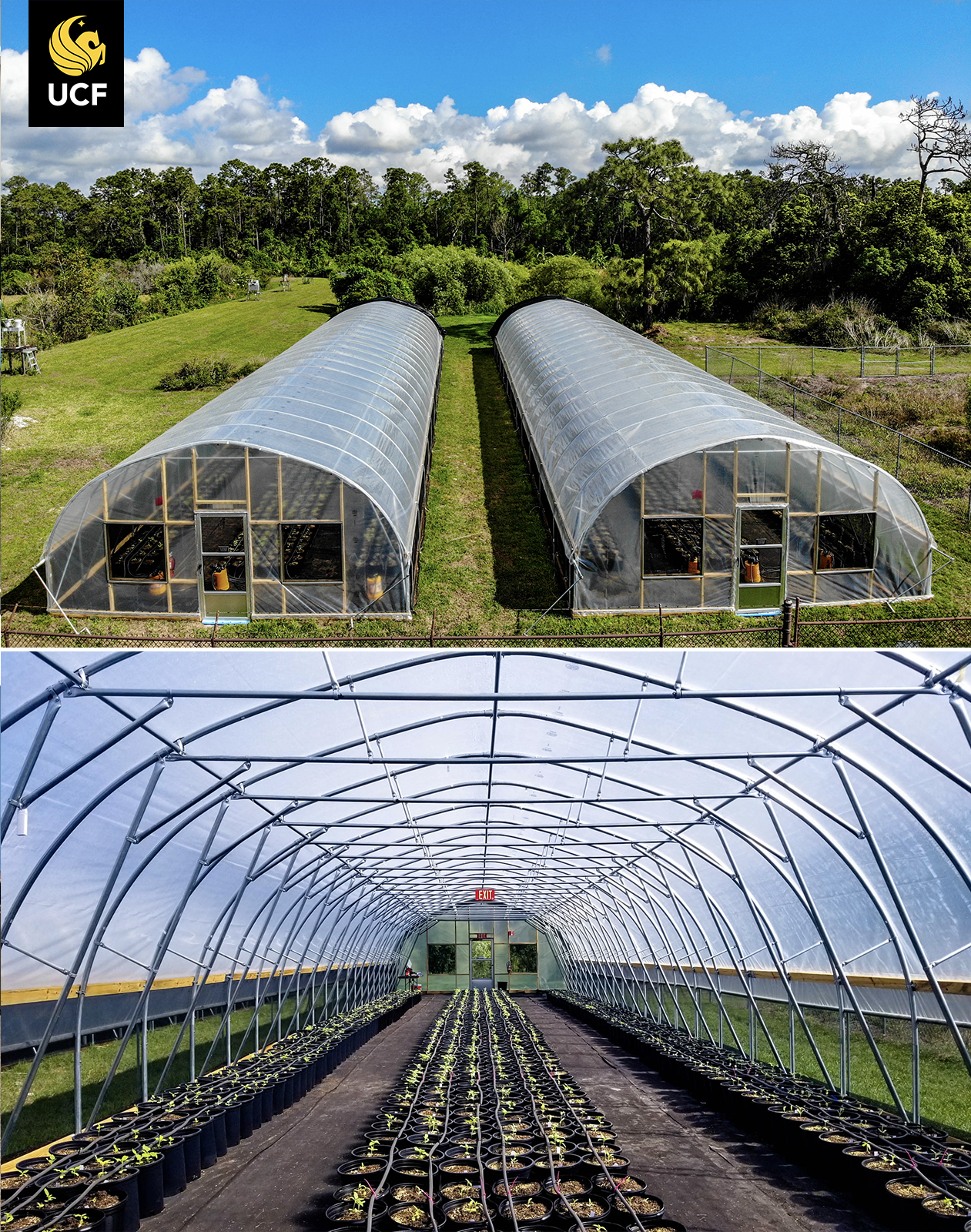 UCF Biology Hoop Houses Installed